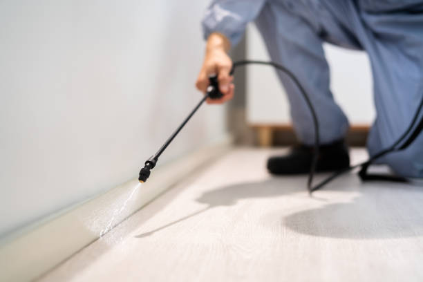 Licensed Pest Control service in Paincourtville, LA - Show Me Pest Control